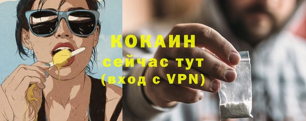 скорость Гусев