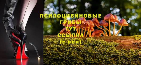 скорость Гусев
