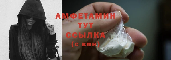 скорость Гусев