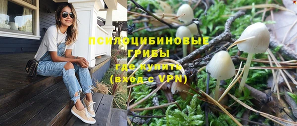 а пвп мука Дмитров