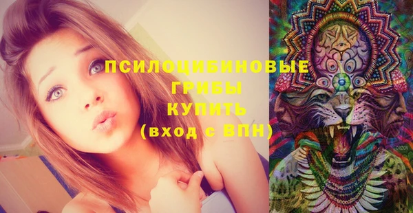 мет Гусиноозёрск