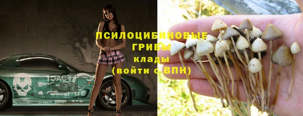 кристаллы Гусь-Хрустальный
