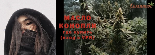 скорость Гусев