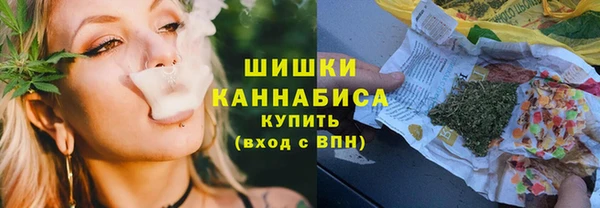 кристаллы Гусь-Хрустальный